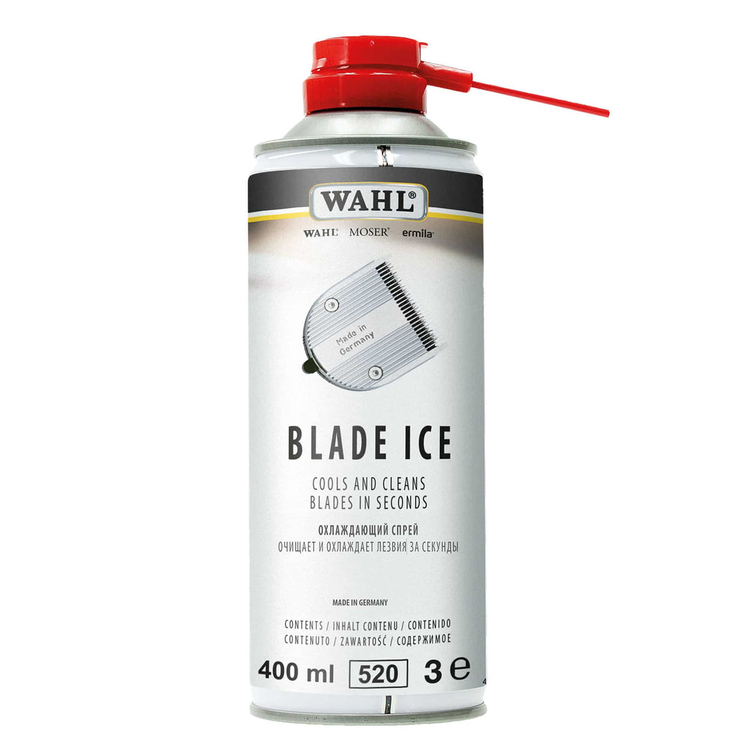 MES IJS SPRAY 400ML
