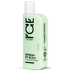 REFRESH MY SCALP CONDITIONNEUR 250 ml